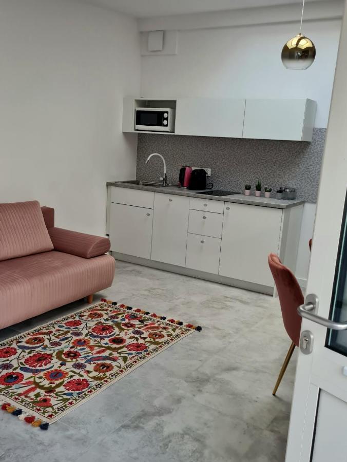 Juwel Apartments Krakow Z Widokiem Na Wawel Ap 47 Zewnętrze zdjęcie